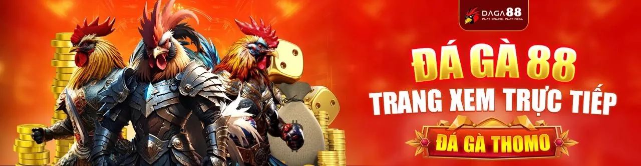 Hình ảnh đá gà trực tuyến 66vn5