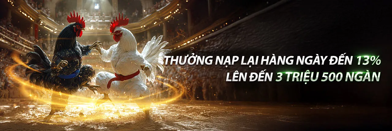 Sòng bạc trực tuyến 66vn5 với người chia bài trực tiếp