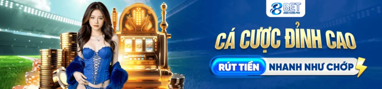 Cán bộ bảo vệ dữ liệu (DPO)
